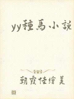 yy种马小说封面