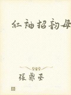 红袖招韵母攻略封面