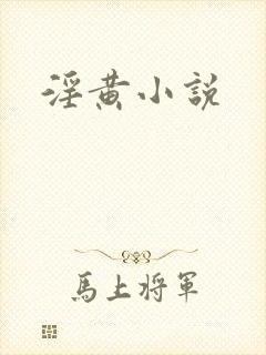 淫黄小说