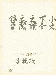 锦衣之下小说免费阅读全文无删减