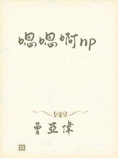 嗯嗯啊np封面