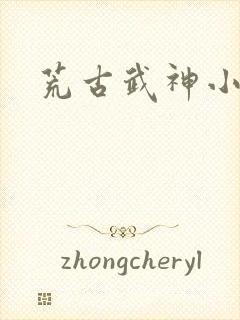 荒古武神小说