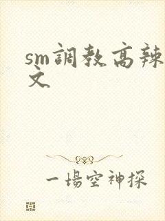 sm调教高辣h文