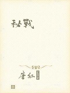 秘战