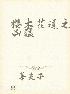 樱木花道之重生凶猛