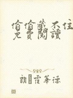 偷偷藏不住小说免费阅读