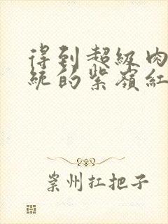 得到超级肉禽系统的紫岭红山封面