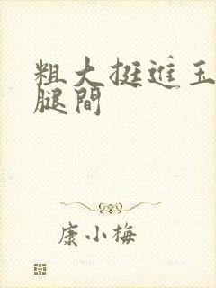 粗大挺进玉芬双腿间