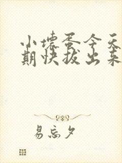 小坏蛋今天危险期快拔出来封面