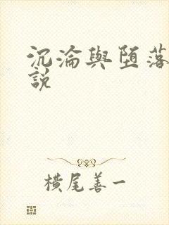 沉沦与堕落的小说