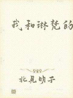 我和琳梵的故事