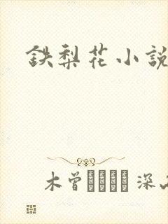 铁梨花小说