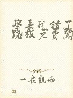 学长我错了 跷跷板免费阅读