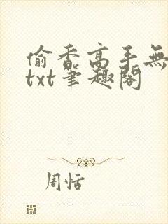 偷香高手无删减txt笔趣阁