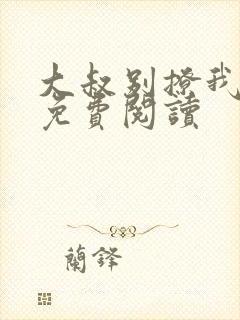 大叔别撩我小说免费阅读