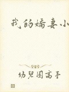 我的娇妻小说