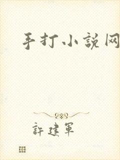手打小说网