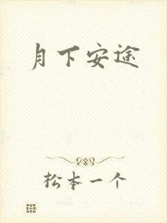 月下安途