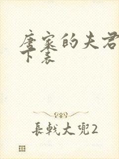 唐家的夫君们帘下衾