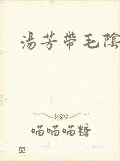 汤芳带毛阴部