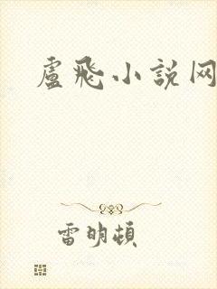 卢飞小说网封面