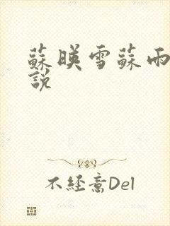 苏映雪苏雨柔小说