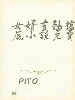 女婿有劲枪枪到底小说免费看