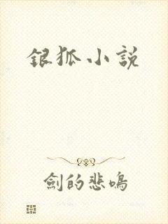 银狐小说