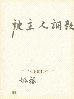 被主人调教1v1封面