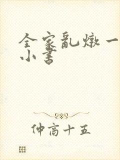 全家乱炖一锅烩小书