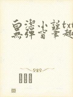 白洁小说txt无弹窗笔趣阁