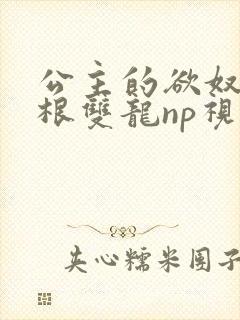 公主的欲奴h四根双龙np视频