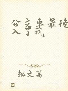 公交车最后一排入了我