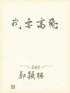 我要高飞封面