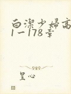 白洁少妇高义第1一178章