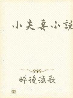 小夫妻小说