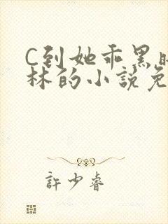 C到她乖黑暗森林的小说免费封面