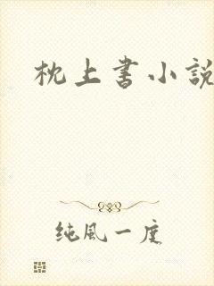 枕上书小说封面