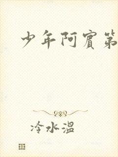 少年阿宾第二部