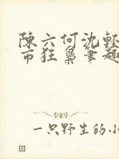 陈六何沈轻舞都市狂枭笔趣阁