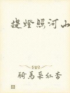 提灯照河山封面