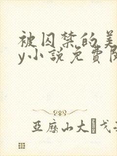 被囚禁的美人by小说免费阅读