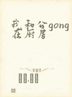 我和公gong在厨房封面