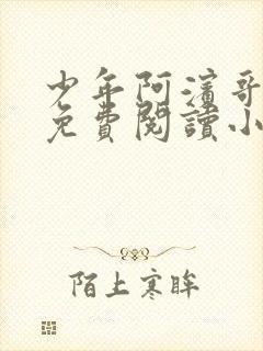 少年阿滨哥全文免费阅读小说封面