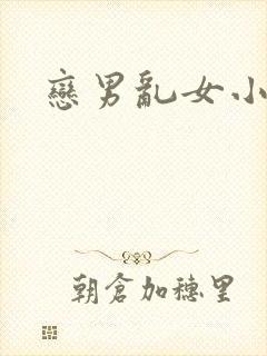 恋男乱女小说