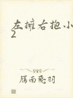 左拥右抱小1V2封面