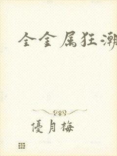 全金属狂潮小说封面