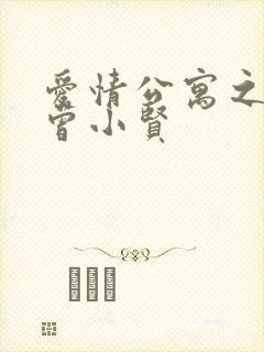 爱情公寓之极品曾小贤