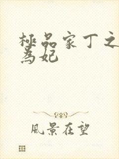 极品家丁之册母为妃