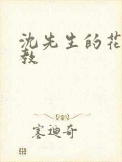 沈先生的花式调教封面